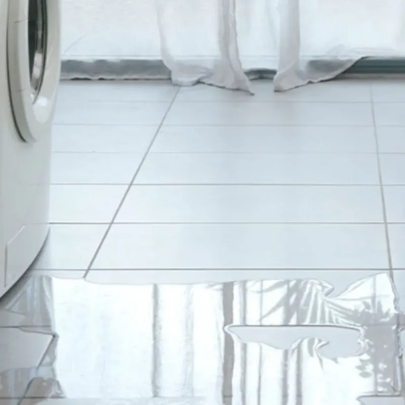 Appliance Leak Cleanup in Holley, FL