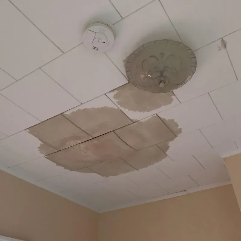 Ceiling Water Damage Repair in Holley, FL