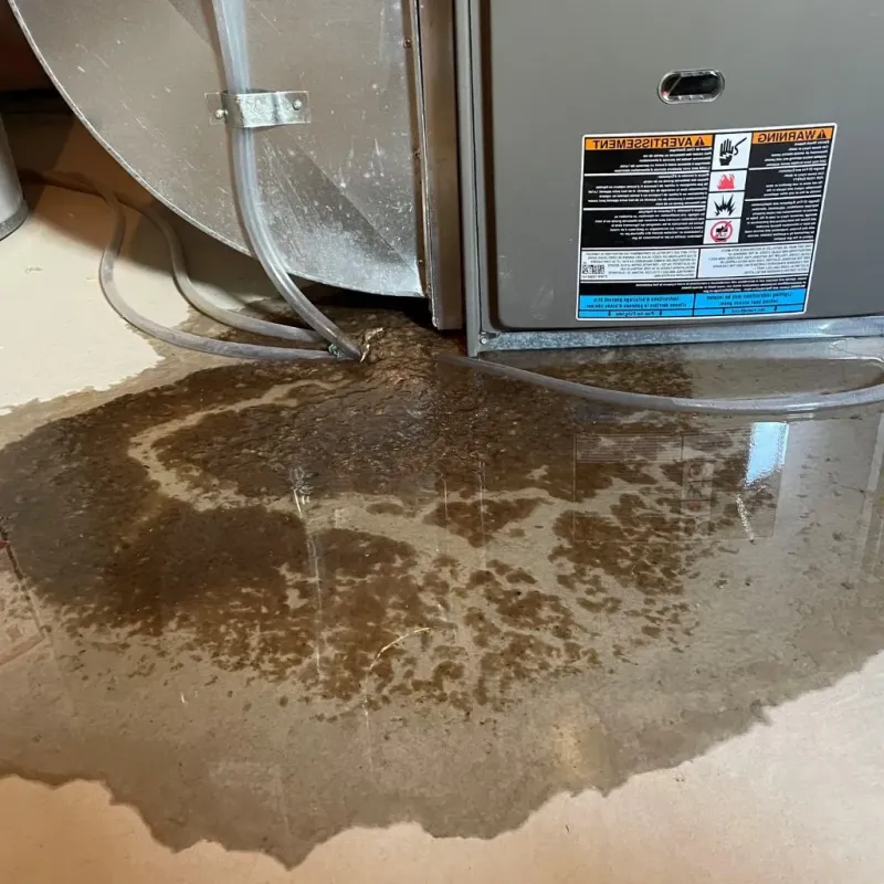 Pipe Burst and Leak Restoration in Holley, FL