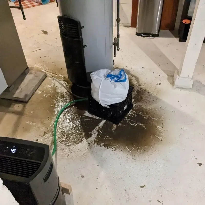 Sewage Backup Cleanup Service in Holley, FL
